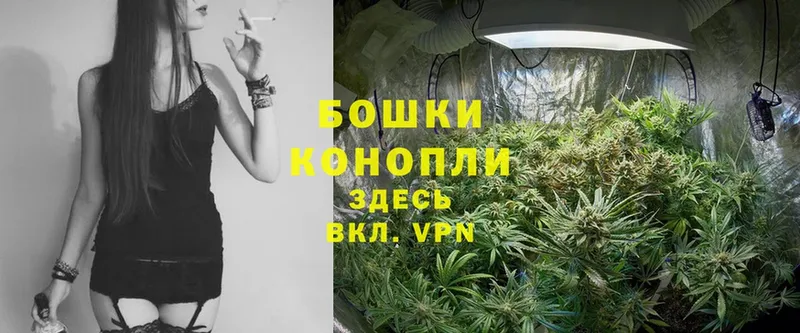 Шишки марихуана OG Kush  Исилькуль 